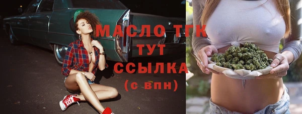 СК Алексин