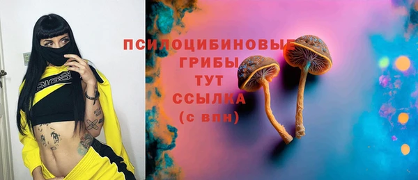 СК Алексин