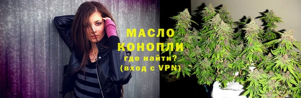 СК Алексин