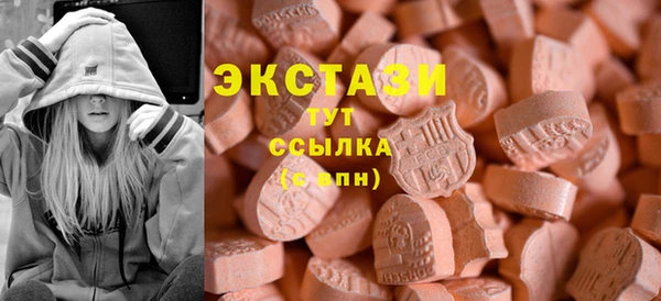 СК Алексин