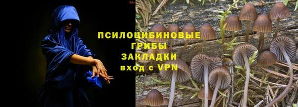 хмурый Алексеевка