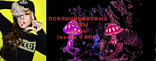 СК Алексин